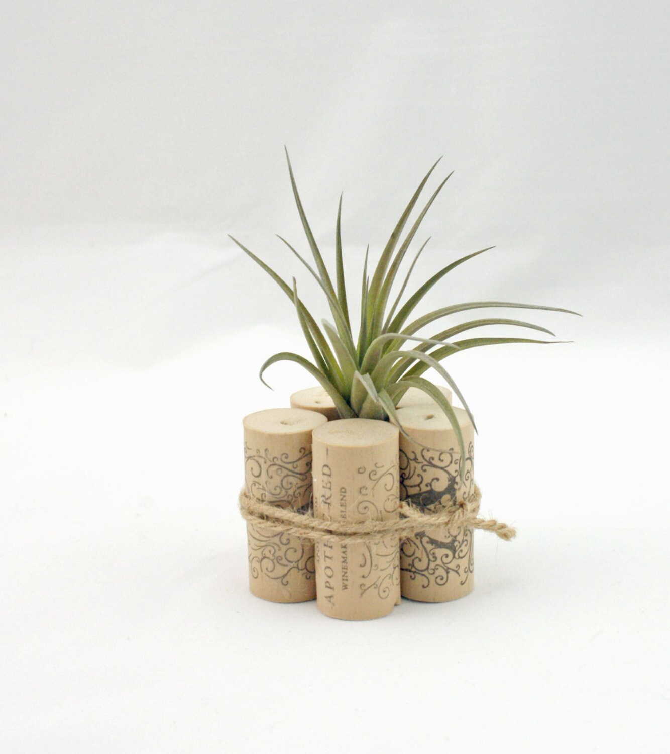 Air Plant Container Wine Cork Decor Air Plant Decor Rustic Etsy