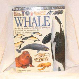 VGT WHALE PICTURE Book,vintage whale book,vintage whale photo book,vintage eyewitness whale book,marine mammal book,vintage seal book,whale