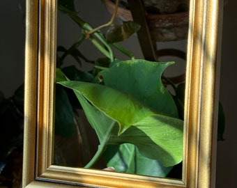 VINTAGE GOUD HOUTEN lijst, vintage canvas lijst, vintage gouden canvas lijst, vintage gouden houten lijst, vintage gouden lijst, gouden lijst