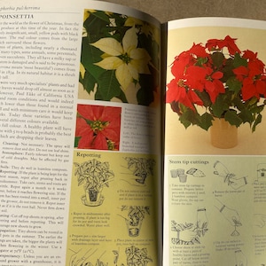 70er jahre zimmerpflanzenbuch - Etsy.de