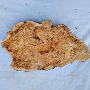 May include: A natural wood slab featuring a complex, swirling burl grain pattern in shades of light tan, golden yellow, and dark brown. The piece has an irregular, organic outer edge with a textured surface showing dense, intricate wood knots.