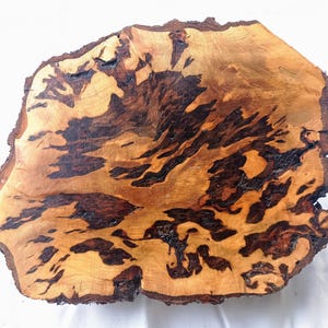 Könnte beinhalten: Eine natürliche Holzscheibe mit Baumkante, die ein kontrastreiches Maserungsmuster mit wirbelnden dunkelbraunen und schwarzen Markierungen auf einem hellen, goldbraunen Hintergrund aufweist. Die Oberfläche ist flach und unregelmäßig geformt.