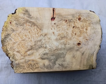 Rare Box Elder Burl Cap - 11 "x 7" x 2,5" - Hohe Figur Holz Drechselrohling mit Roter Flamme