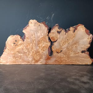 Könnte beinhalten: Eine flache, unregelmäßig geformte Platte aus hellbraunem Wurzelholz mit einem komplexen, wirbelnden Maserungsmuster, dunkelbraunen Knoten und natürlichen, rauen, dunkel gefärbten Rindenkanten an der Oberseite und den Seiten.
