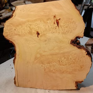 Puede incluir: Una losa de madera sin terminar de color claro con una forma orgánica única. La madera presenta un color beige claro con nudos marrones más oscuros y una superficie texturizada. Los bordes tienen corteza natural y la veta de la madera es visible.