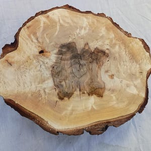 May include: A natural wood slice with a light tan center and a dark brown, textured edge. The wood grain features a unique pattern with darker brown and gray tones in the center. This rustic piece is ideal for decorative purposes.