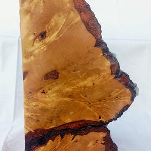 May include: A vertical slab of polished wood featuring a prominent live edge with dark, textured bark. The surface displays a complex, swirling grain pattern in shades of golden yellow, amber, and deep brown, with natural knots and organic markings.