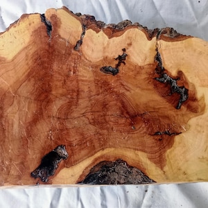 May include: A natural wood slab featuring a live edge with prominent bark remnants. The surface displays a rich contrast between light cream-colored sapwood and deep reddish-brown heartwood, accented by dark, irregular natural fissures and knots.