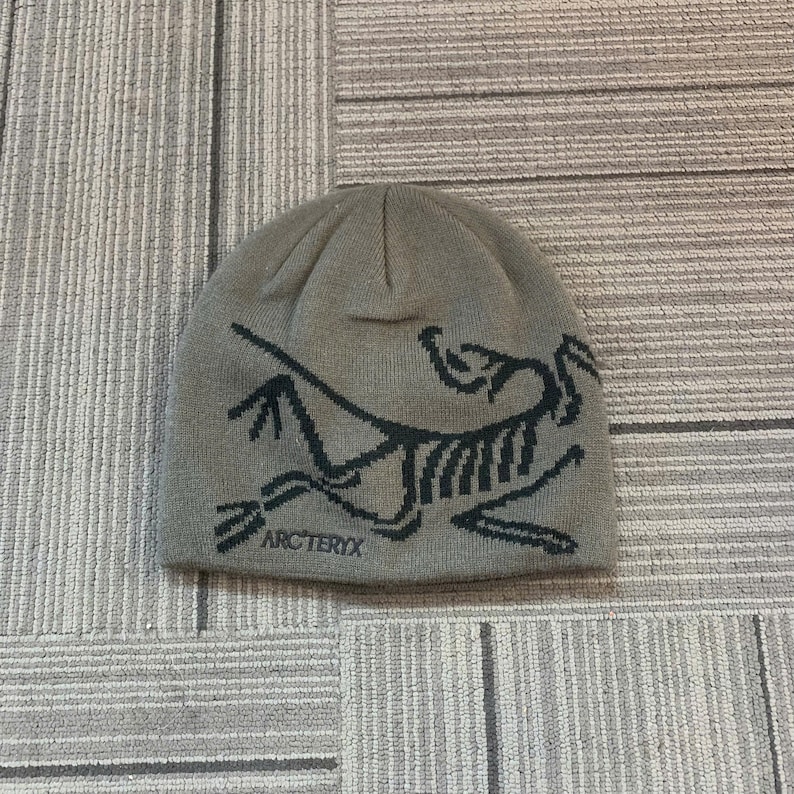 May include: A gray beanie featuring a black graphic of a stylized dinosaur skeleton. The brand name "Arc'teryx" is printed in black below the graphic. The hat is made of a soft, knitted material.