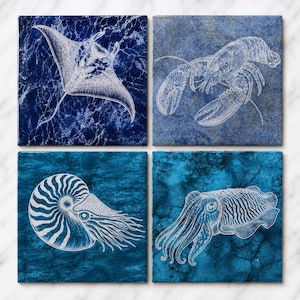 May include: A set of four square ceramic tiles featuring white line art illustrations of marine life against deep blue backgrounds. The designs include a manta ray, a lobster, a nautilus shell, and a cuttlefish, each with distinct blue textures.