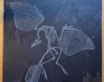 Archaeopteryx Fossil on Slate Tile 12"x12"
