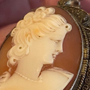 May include: Close-up of a cameo pendant featuring a profile of a woman with detailed hair and a delicate necklace. The cameo is set in a silver filigree frame, showcasing the intricate design and craftsmanship of the jewelry.