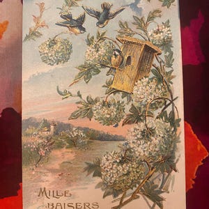 Art Nouveau French Antique postcard, Embossed Birds with Blossom 1900s