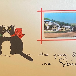 Cartolina romantica e umoristica, gatti neri innamorati, saluti da Voiron nelle Alpi francesi, cartolina di metà secolo non scritta