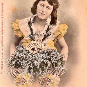 Ansichtkaart The Language of Flowers, antieke Franse kaart, jaren 1900, ongedeeld en ongeschreven