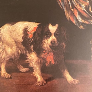 Una cartolina con un cane di razza King Charles Spaniel, stampa artistica dell'artista olandese Gysbert van der Kuyl, pubblicata per Marble Mill House, anni '80.