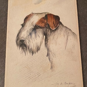 Carte postale Fox Terrier, Art Déco 1910 Artiste M B Cooper