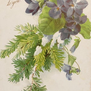 Cartão postal de Feliz Ano Novo // Buquê de flores azuis com agulhas de pinheiro // Antigo editor Raphael Tuck, franqueado em 1905 // Leves marcas de franquia
