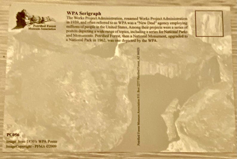 The Petrified Forest, Arizona USA, Travel 1920s Publicity Postcard, Art