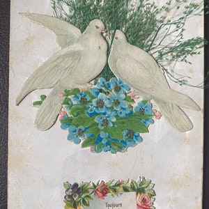 Carte postale ancienne des années 1900, colombes blanches affectueuses, myosotis découpées, fleurs séchées