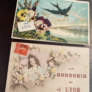 Lyon, Swallow, Swallow, Une Pensée, Flowers, French Vintage Postcards, Choose One