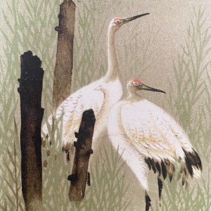 コウノトリの絵葉書、アンティーク絵葉書