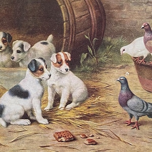 Amigos da Fazenda por Edgar Hunt, Artista Britânico // Cães Jovens ou Filhotes Encontram Pássaros Cartão Postal Vintage, Editora Salmon Sevenoaks // SEM ESCRITO