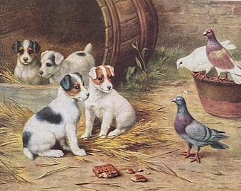 Farmyard Friends by Edgar Hunt, British Artist // Young Dogs or Puppies Meet Birds Vintage Postcard, Publisher Salmon Sevenoaks // UNWRITTEN