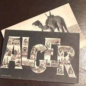 Cartes postales d'Algérie, chameau arabe priant, choisissez un ou tous, vintage