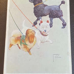 Carte postale caniche, artiste Lawson Wood, éditeur Valentine Franked 1931