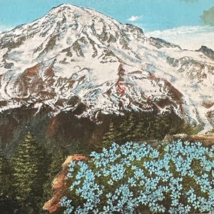 Antica cartolina del Monte Rainier e dei fiori di montagna Phlox, Stato di Washington, Paradise Valley, Copyright 1912, condizioni DISCRETE