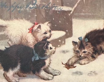 Carte postale de chatons, illustrateur, une petite victime publiée par Raphael Tuck, Franked 1907