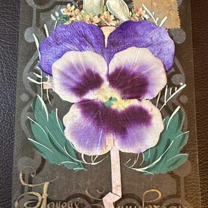 Pode incluir: Postal vintage com uma flor de amor-perfeito prensada roxa e branca. Duas pombas brancas empoleiram-se sobre a flor, com folhas verdes e o texto francês "Joyeux Anniversaire" em ouro. Um selo postal é visível.