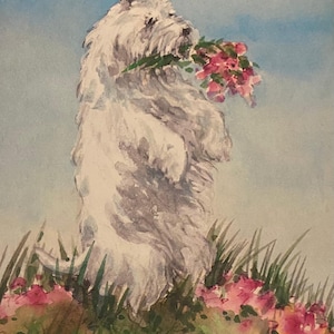 Cartolina finlandese, cane West Highland Terrier che tiene un fiore, auguri di Pasqua