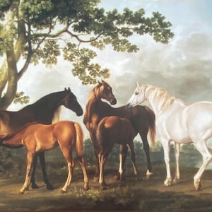Cartolina britannica, Tate Gallery, anni '90 // Artista inglese George Stubbs, Cavalle e puledri in un paesaggio fluviale, genere equestre NON SCRITTO