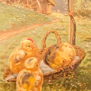 Cartolina di Pasqua in rilievo dell'artista // Pulcini che bevono acqua da un cesto, antica, affrancata e scritta