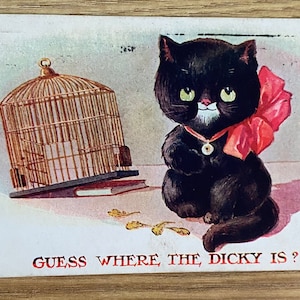 Carte postale vintage Inter Art, chat noir, oiseau disparu