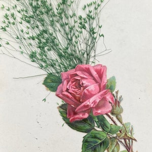 French Antique Postcard, Pink Roses Bon Souvenir, 1900s Art Nouveau // Written On in Script