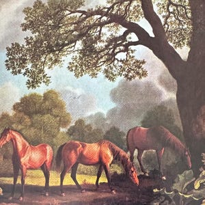 Carte postale britannique, Walker Art Gallery 1990s // Artiste George Stubbs (1724-1806), A Colt and Two Chestnut Horses, Genre équestre NON ÉCRIT
