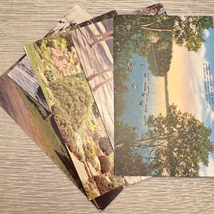 Collezione di cartoline d'epoca degli USA, anni '60, lotto di 5 // Michigan State, pesca, cervo albino, giardino roccioso, lino, cigni con un francobollo Lincoln