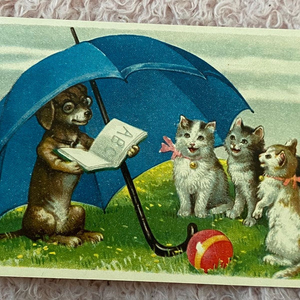 Anthropomorphic Postcard, Dog Teacher Cats Umbrella