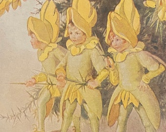 Artist Margaret Tarrant Postcard, The Gorse Fairies, The Medici Society
