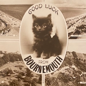 Cartolina "Buona fortuna" da Bournemouth, Gatto Nero, costa inglese, affrancata 1953
