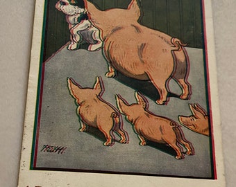 Schweine und Welpe Postkarte, 3D signierte Künstler Postkarte, Vintage, Unbenutzt