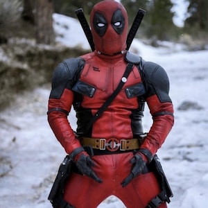 May include: A red and black Deadpool costume with a mask, two swords on the back, and a utility belt. The costume has black accents on the shoulders and gloves. The character is standing in a snowy outdoor setting.