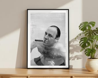 Vintage Tony Soprano James Gandolfini Print, Celebrity Actor Poster, Fine Art Photography Wall Art, Black and White Iconic TV
