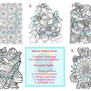 May include: Black and white line art illustrations of succulents. The image includes five detailed drawings of different succulent types, including Chicks and Hens, Chihuahua Succulent, and Spiral Aloe Vera. The text reads "Natures Patterns Pack" and "5 Detailed Illustrations for relaxation and meditation."