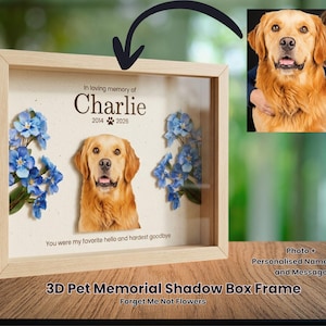 Puede incluir: Un marco de caja de sombra de madera con una foto de un golden retriever, flores de papel azules y el texto "In loving memory of Charlie 2014-2026". El marco también incluye el texto "You were my favorite hello and hardest goodbye".
