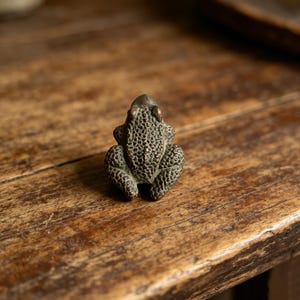 May include: A small, detailed bronze frog figurine. The frog is in a seated position with textured skin and visible eyes. The figurine is placed on a rustic wooden surface, showcasing its antique appearance.