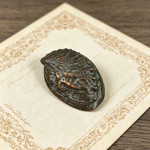 Könnte beinhalten: Ein verwittertes, bronzefarbenes Dekorationsobjekt mit strukturierter Oberfläche, das einem Samen oder einer Schale ähnelt. Es liegt auf einer Vintage-Postkarte mit einem goldenen Blumenrand und verblasstem Text.